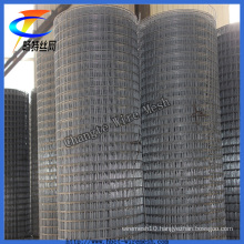 Cheap Galvanized Welded Wire Mesh ISO9001 Factory (CT-4)